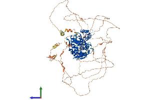 AlphaFold protein structure predicition of Mouse Recombinant Dennd1a Protein, UniprotID Q8K382