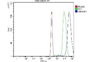 Flow Cytometry analysis of C6 cells using anti-hnRNP K/HNRNPK antibody (ABIN7601650). (HNRNPK antibody  (AA 40-463))