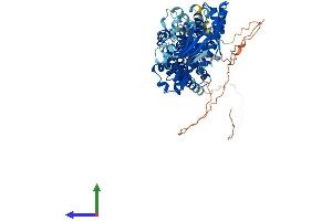 AlphaFold protein structure predicition of Mouse Recombinant Rhobtb2 Protein, UniprotID Q91V93 (RHOBTB2 Protein (AA 1-728) (His tag))