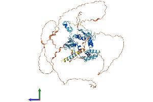 AlphaFold protein structure predicition of Human Recombinant ZNF366 Protein, UniprotID Q8N895