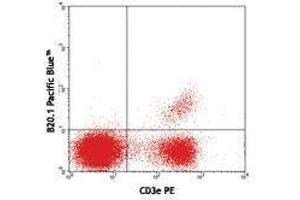Flow Cytometry (FACS) image for anti-V alpha 2 TCR antibody (Pacific Blue) (ABIN2662372)