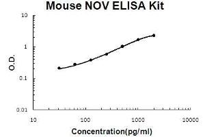 Mouse NOV/CCN3 PicoKine ELISA Kit standard curve
