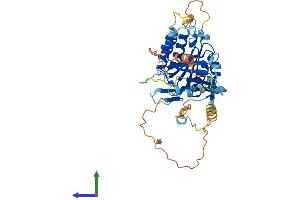 AlphaFold protein structure predicition of Mouse Recombinant Elp4 Protein, UniprotID Q9ER73 (ELP4 Protein (AA 1-422) (His tag))