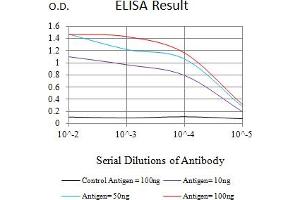 Black line: Control Antigen (100 ng),Purple line: Antigen (10 ng), Blue line: Antigen (50 ng), Red line:Antigen (100 ng) (SMYD2A antibody  (AA 99-262))