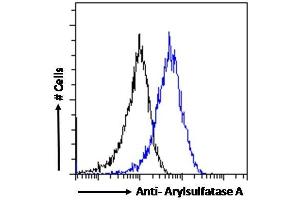 ABIN238536 Flow cytometric analysis of paraformaldehyde fixed HeLa cells (blue line), permeabilized with 0. (Arylsulfatase A antibody  (Internal Region))