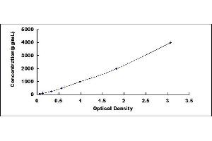 Typical standard curve (REG1A ELISA Kit)