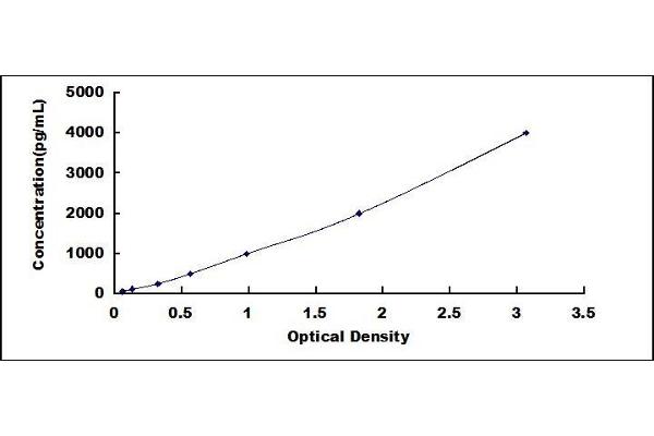 REG1A ELISA Kit