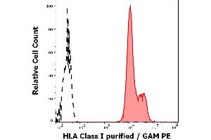 Separation of human leukocytes stained using anti-HLA Class I (MEM-147) purified antibody (concentration in sample 1. (MICA antibody)