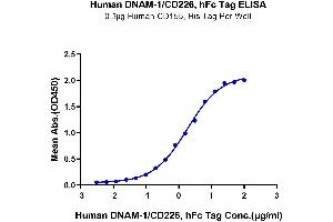 ELISA image for CD226 (CD226) (AA 19-247) protein (Fc Tag) (ABIN7274457)