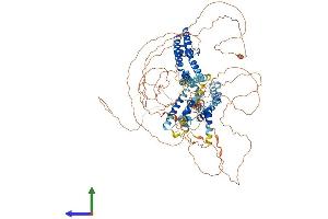 AlphaFold protein structure predicition of Mouse Recombinant Kcnq5 Protein, UniprotID Q9JK45