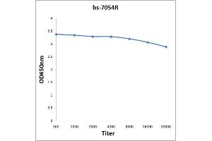 Antigen: 0. (ELOVL5 antibody  (AA 211-299))