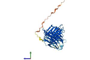 AlphaFold protein structure predicition of Human Recombinant LGALS12 Protein, UniprotID Q96DT0
