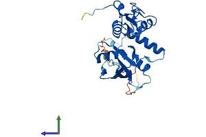 AlphaFold protein structure predicition of Human Recombinant PCGF3 Protein, UniprotID Q3KNV8 (PCGF3 Protein (AA 1-242) (His tag))