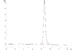 The purity of Human SERPINF2 is greater than 95 % as determined by SEC-HPLC. (alpha 2 Antiplasmin Protein (AA 28-491) (His tag))