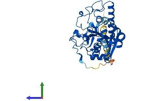 AlphaFold protein structure predicition of Mouse Recombinant Abo Protein, UniprotID P38649 (ABO Protein (AA 1-332) (His tag))