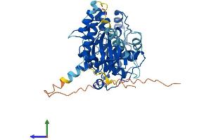 AlphaFold protein structure predicition of Mouse Recombinant Stk32b Protein, UniprotID Q9JJX8