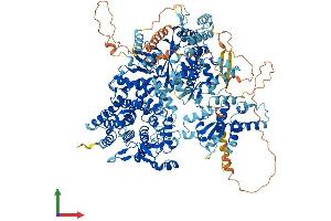 Protein Structure (PS) image for phosphorylase Kinase, alpha 1 (Muscle) (PHKA1) (AA 1-1241) protein (His tag) (ABIN7562931)