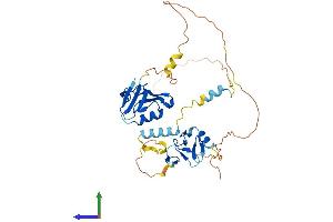 AlphaFold protein structure predicition of Mouse Recombinant Pdlim2 Protein, UniprotID Q8R1G6