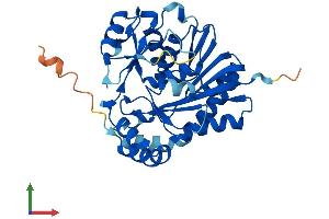 Protein Structure (PS) image for NOP2/Sun Domain Family, Member 3 (NSUN3) (AA 1-340) protein (His tag) (ABIN7549849)