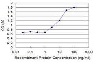 Detection limit for recombinant GST tagged TAP1 is approximately 3ng/ml as a capture antibody. (TAP1 antibody  (AA 241-350))