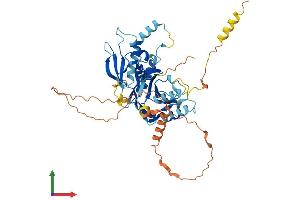 Protein Structure (PS) image for Interferon Regulatory Factor 7 (IRF7) (AA 1-457) protein (His tag) (ABIN7563528)