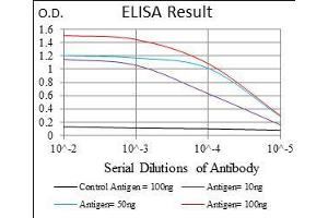 Black line: Control Antigen (100 ng), Purple line: Antigen(10 ng), Blue line: Antigen (50 ng), Red line: Antigen (100 ng), (IL3RA antibody  (AA 200-305))