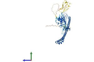 Protein Structure (PS) image for Tripartite Motif Containing 45 (TRIM45) (AA 1-580) protein (His tag) (ABIN7544680)