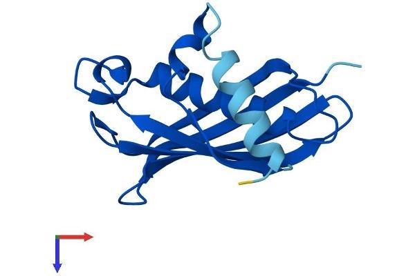 THEM2 Protein (AA 1-140) (His tag)