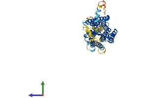 AlphaFold protein structure predicition of Mouse Recombinant Gpr173 Protein, UniprotID Q6PI62
