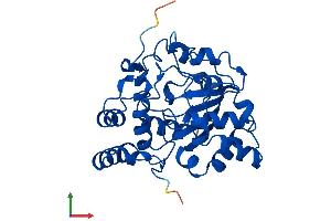AlphaFold protein structure predicition of Mouse Recombinant Sult1b1 Protein, UniprotID Q9QWG7