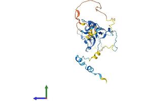 Protein Structure (PS) image for Family with Sequence Similarity 125, Member A (FAM125A) (AA 1-273) protein (His tag) (ABIN7549294)