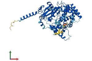 Protein Structure (PS) image for thromboxane A Synthase 1 (Platelet) (TBXAS1) (AA 1-533) protein (His tag) (ABIN7544252)