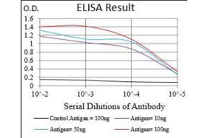 Black line: Control Antigen (100 ng), Purple line: Antigen(10 ng), Blue line: Antigen (50 ng), Red line: Antigen (100 ng), (PER3 antibody  (AA 723-954))