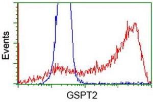 HEK293T cells transfected with either RC206259 overexpress plasmid (Red) or empty vector control plasmid (Blue) were immunostained by anti-GSPT2 antibody (ABIN2454693), and then analyzed by flow cytometry. (GSPT2 antibody)