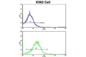 Flow Cytometry (FACS) image for anti-Unc-5 Homolog C (C. Elegans) (Unc5c) antibody (ABIN3002880) (Unc5c antibody)