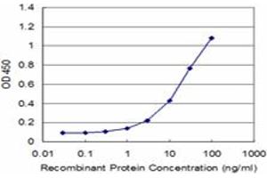 Detection limit for recombinant GST tagged RCV1 is approximately 1ng/ml as a capture antibody. (Recoverin antibody  (AA 1-200))
