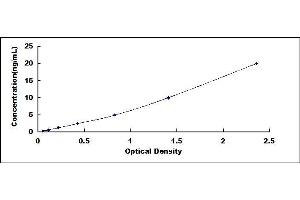 Typical standard curve (IRS1 ELISA Kit)