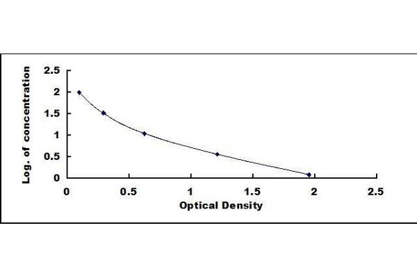 IgG ELISA Kit