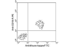 Flow Cytometry (FACS) image for Rat anti-Mouse Ig (Chain kappa), (Light Chain) antibody (FITC) (ABIN356162) (Rat anti-Mouse Ig (Chain kappa), (Light Chain) Antibody (FITC))