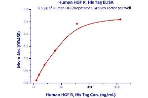 Immobilized Human HGF/Hepatocyte Growth Factor at 5μg/mL (100 μL/well) can bind Human HGF R, His Tag  with a linear range of 5-78 ng/mL.