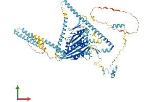 AlphaFold protein structure predicition of Mouse Recombinant Kif3b Protein, UniprotID Q61771 (KIF3B Protein (AA 1-747) (His tag))