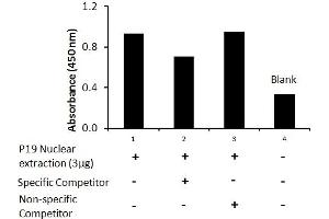 Activity Assay (AcA) image for Nanog Homeobox (NANOG) ELISA Kit (ABIN5526712)