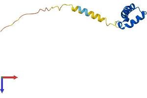 DPY30 Protein (AA 1-99) (His tag)