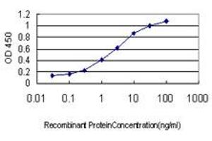Detection limit for recombinant GST tagged LRP8 is approximately 0. (LRP8 antibody  (AA 83-170))