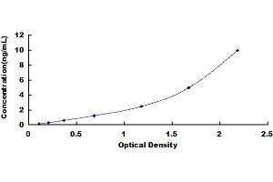 Typical standard curve (FAM193A ELISA Kit)