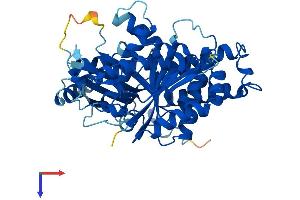 Protein Structure (PS) image for Tubulin, gamma 1 (TUBG1) (AA 1-451) protein (His tag) (ABIN7544196)