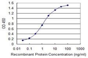Detection limit for recombinant GST tagged PTP4A2 is 0. (PTP4A2 antibody  (AA 1-95))
