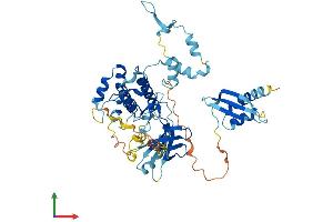 Protein Structure (PS) image for NRBP2 (NRBP2) (AA 1-499) protein (His tag) (ABIN7559973)