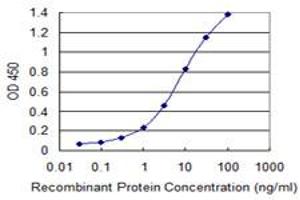 Detection limit for recombinant GST tagged NEK11 is 0. (NEK11 antibody  (AA 1-482))