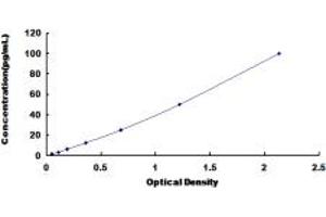 FCER2 ELISA Kit